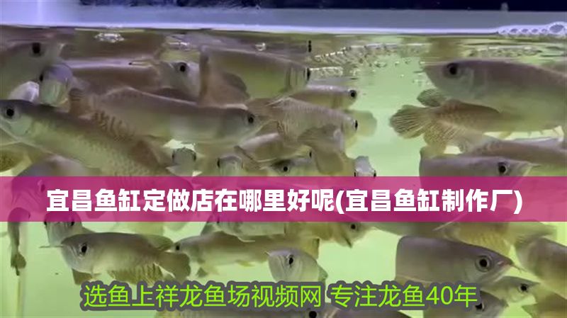 宜昌魚缸定做店在哪里好呢(宜昌魚缸制作廠)