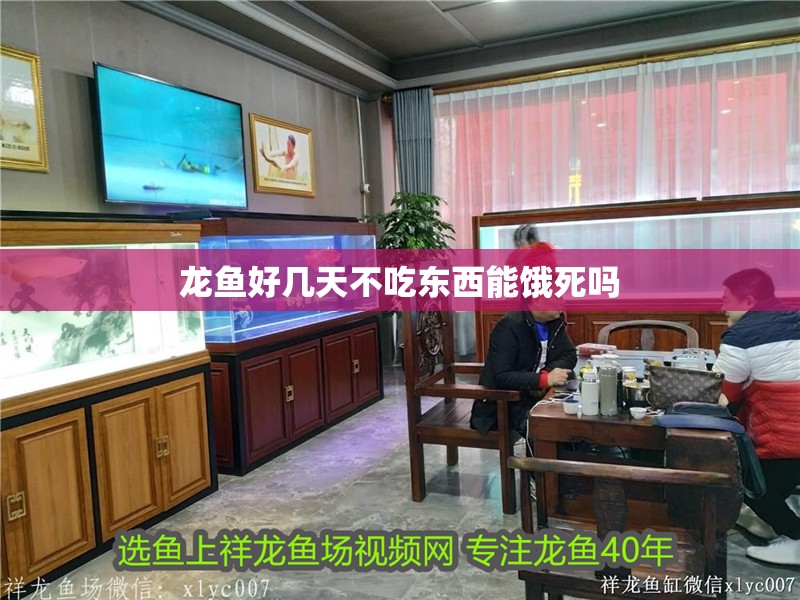 龍魚好幾天不吃東西能餓死嗎