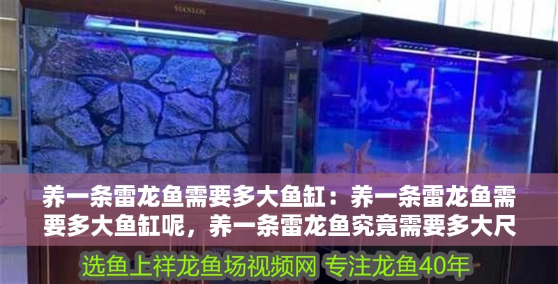 養一條雷龍魚需要多大魚缸：養一條雷龍魚需要多大魚缸呢，養一條雷龍魚究竟需要多大尺寸