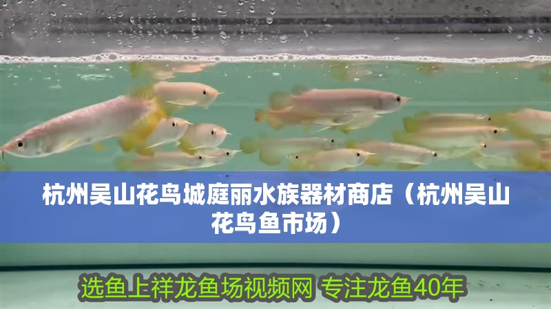 杭州吳山花鳥城庭麗水族器材商店（杭州吳山花鳥魚市場）