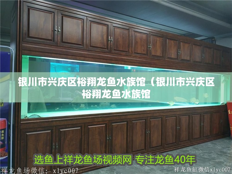 銀川市興慶區(qū)裕翔龍魚水族館（銀川市興慶區(qū)裕翔龍魚水族館