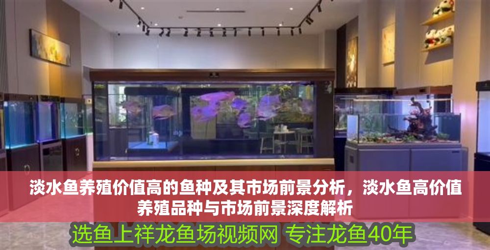 淡水魚養殖價值高的魚種及其市場前景分析，淡水魚高價值養殖品種與市場前景深度解析
