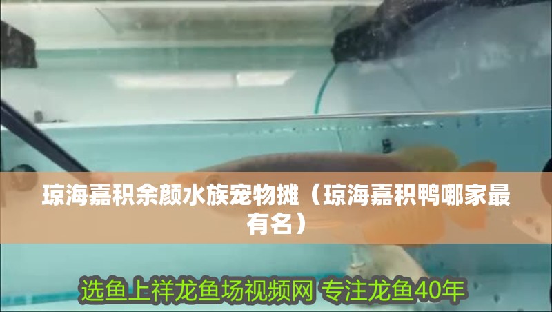 瓊海嘉積余顏水族寵物攤（瓊海嘉積鴨哪家最有名）