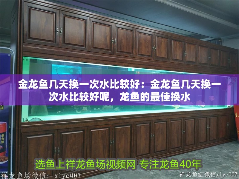 金龍魚幾天換一次水比較好：金龍魚幾天換一次水比較好呢，龍魚的最佳換水