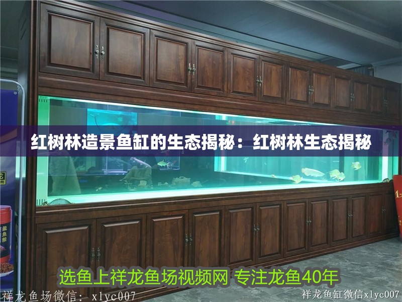 紅樹林造景魚缸的生態揭秘：紅樹林生態揭秘