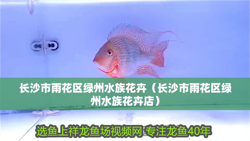長沙市雨花區綠州水族花卉（長沙市雨花區綠州水族花卉店）