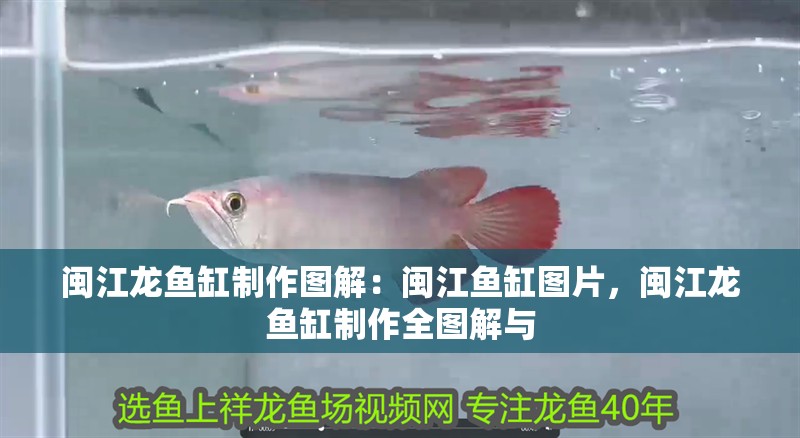 閩江龍魚缸制作圖解：閩江魚缸圖片，閩江龍魚缸制作全圖解與