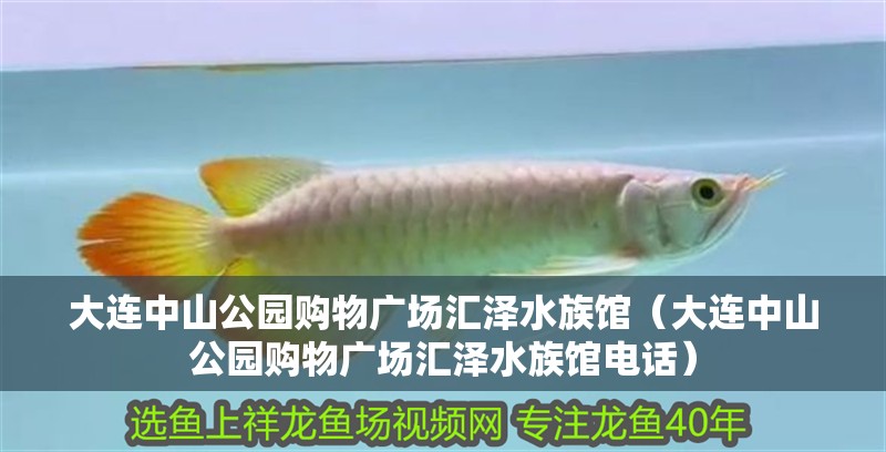 大連中山公園購物廣場匯澤水族館（大連中山公園購物廣場匯澤水族館電話）