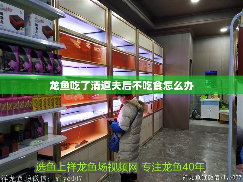 龍魚吃了清道夫后不吃食怎么辦 龍魚吃了清道夫后不吃食怎么辦 龍魚百科 第4張