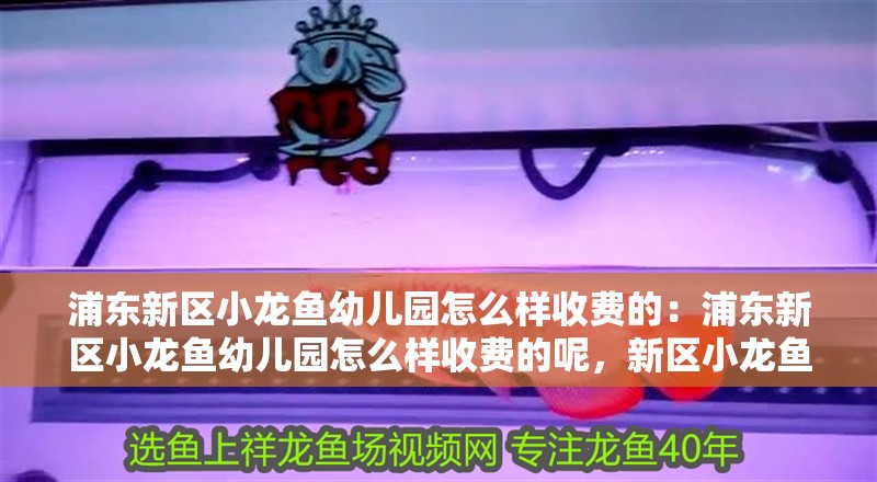 浦東新區小龍魚幼兒園怎么樣收費的：浦東新區小龍魚幼兒園怎么樣收費的呢，新區小龍魚幼兒園收費標準 浦東新區小龍魚幼兒園怎么樣收費的：浦東新區小龍魚幼兒園怎么樣收費的呢，新區小龍魚幼兒園收費標準 水族問答