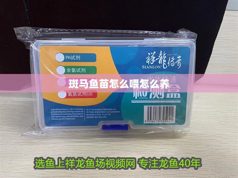 斑馬魚苗怎么喂怎么養