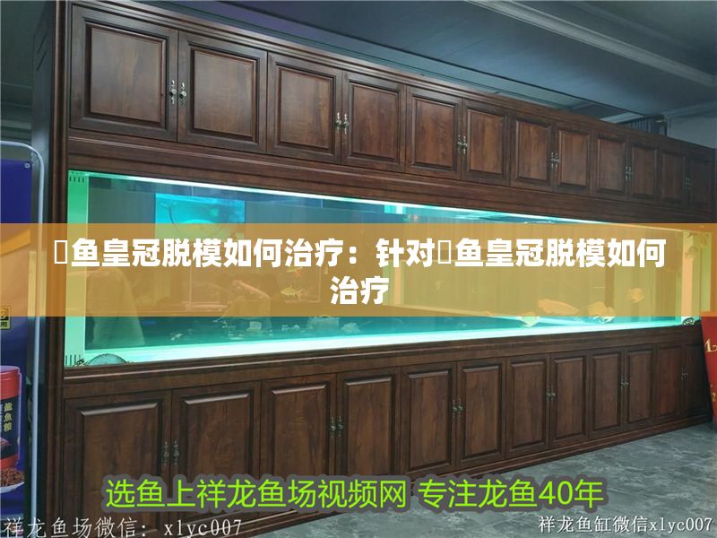 魟魚皇冠脫模如何治療：針對魟魚皇冠脫模如何治療