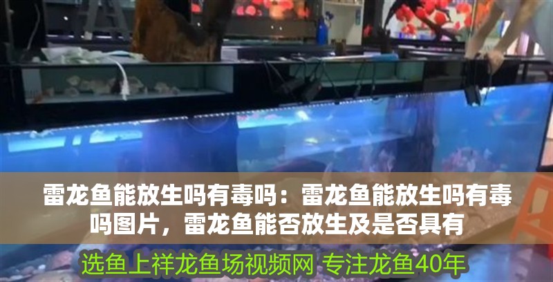 雷龍魚能放生嗎有毒嗎：雷龍魚能放生嗎有毒嗎圖片，雷龍魚能否放生及是否具有