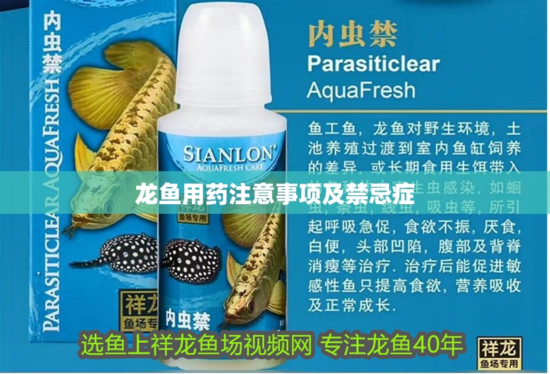 龍魚用藥注意事項及禁忌癥