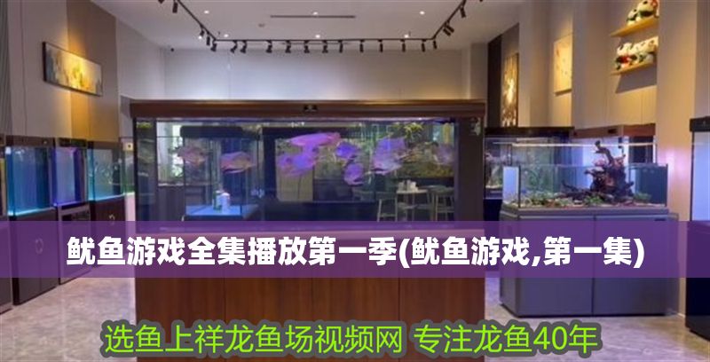 魷魚(yú)游戲全集播放第一季(魷魚(yú)游戲,第一集) 魷魚(yú)游戲全集播放第一季(魷魚(yú)游戲,第一集) 錦鯉魚(yú)百科 第1張