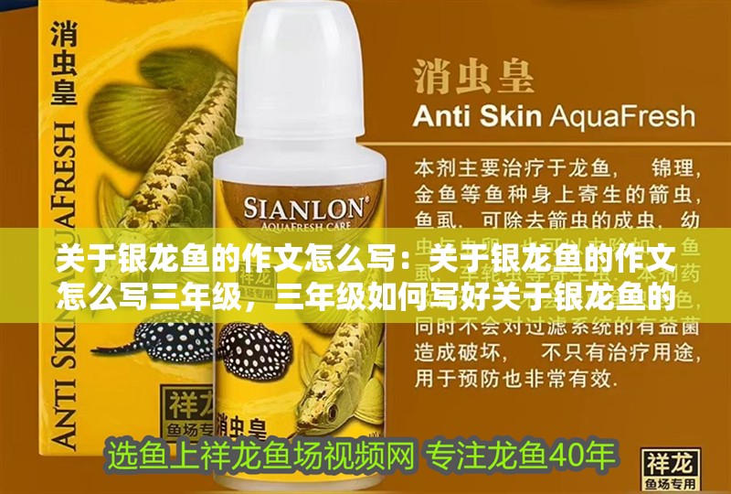 關于銀龍魚的作文怎么寫：關于銀龍魚的作文怎么寫三年級，三年級如何寫好關于銀龍魚的作文