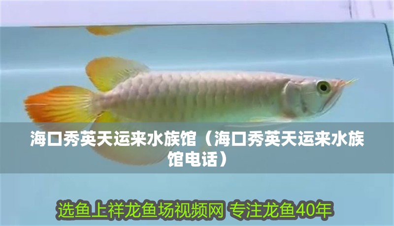 海口秀英天運(yùn)來水族館（海口秀英天運(yùn)來水族館電話）