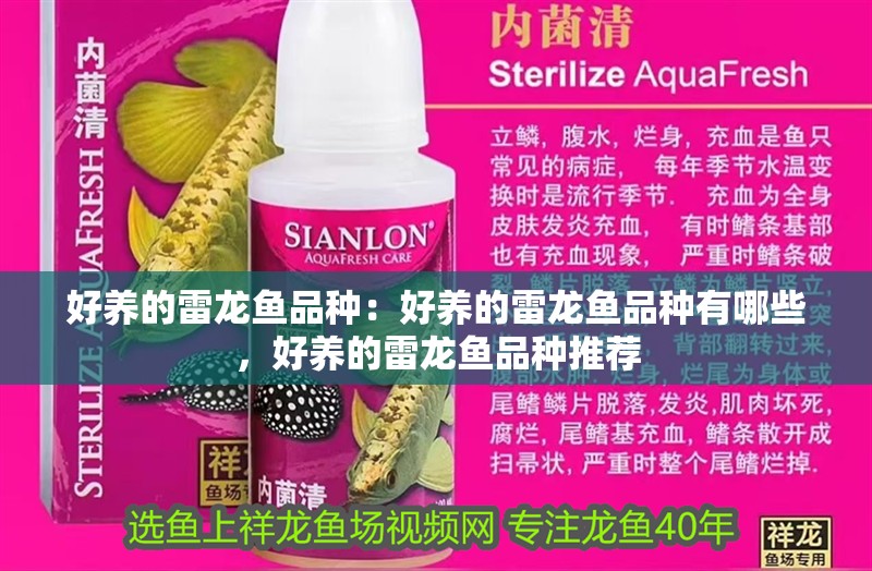 好養(yǎng)的雷龍魚品種：好養(yǎng)的雷龍魚品種有哪些，好養(yǎng)的雷龍魚品種推薦