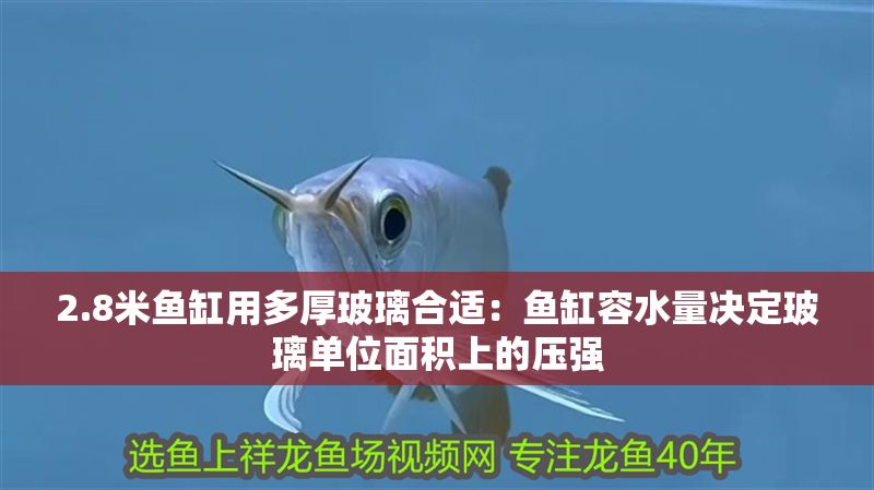 2.8米魚缸用多厚玻璃合適：魚缸容水量決定玻璃單位面積上的壓強