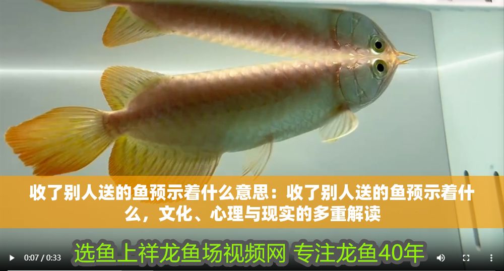 收了別人送的魚預示著什么意思：收了別人送的魚預示著什么，文化、心理與現實的多重解讀