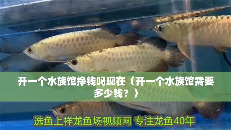 開一個水族館掙錢嗎現在（開一個水族館需要多少錢？）