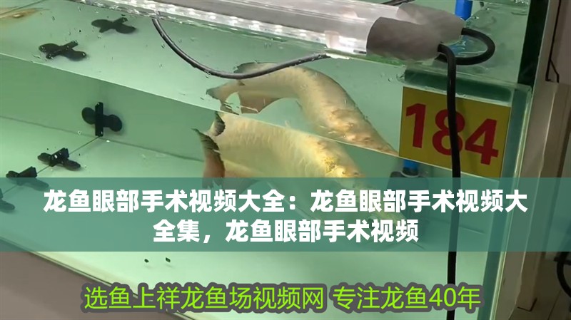 龍魚眼部手術視頻大全：龍魚眼部手術視頻大全集，龍魚眼部手術視頻