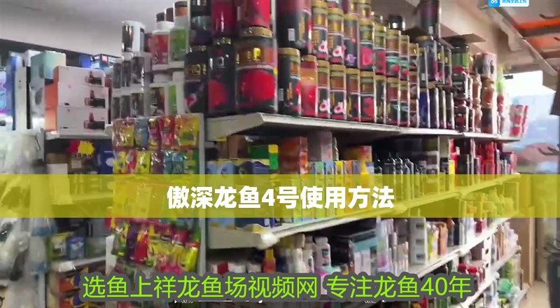 傲深龍魚4號使用方法