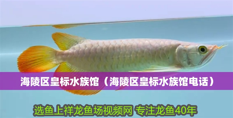 海陵區皇標水族館（海陵區皇標水族館電話）