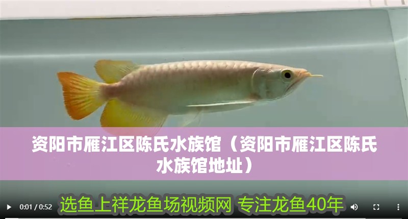 資陽市雁江區(qū)陳氏水族館（資陽市雁江區(qū)陳氏水族館地址）