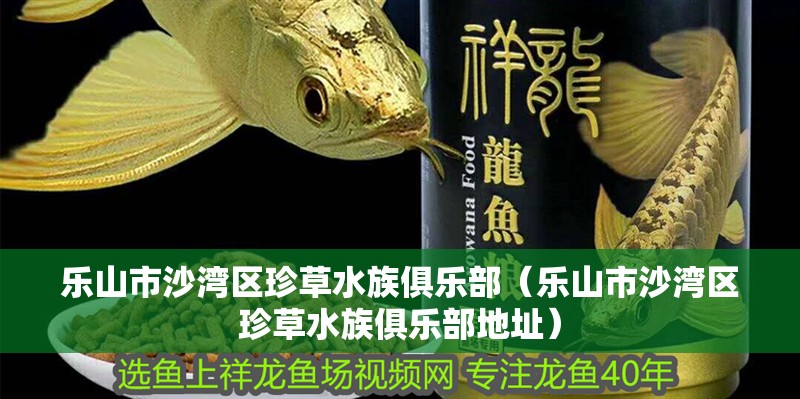 樂山市沙灣區(qū)珍草水族俱樂部（樂山市沙灣區(qū)珍草水族俱樂部地址）
