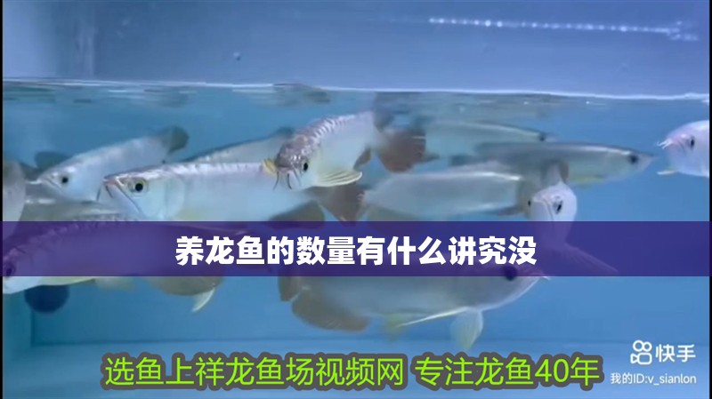 養(yǎng)龍魚的數(shù)量有什么講究沒