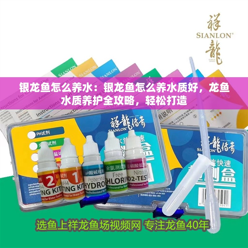 銀龍魚怎么養水：銀龍魚怎么養水質好，龍魚水質養護全攻略，輕松打造