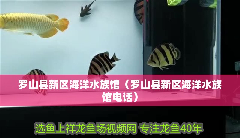 羅山縣新區(qū)海洋水族館（羅山縣新區(qū)海洋水族館電話）