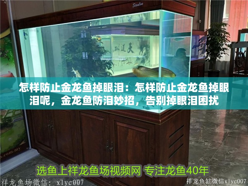 怎樣防止金龍魚掉眼淚：怎樣防止金龍魚掉眼淚呢，金龍魚防淚妙招，告別掉眼淚困擾