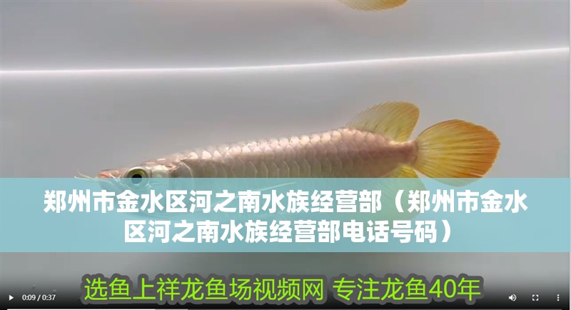 鄭州市金水區(qū)河之南水族經(jīng)營部（鄭州市金水區(qū)河之南水族經(jīng)營部電話號碼）