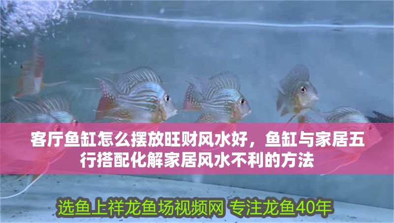 客廳魚缸怎么擺放旺財風水好，魚缸與家居五行搭配化解家居風水不利的方法