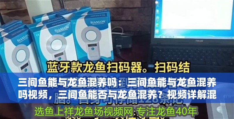 三間魚能與龍魚混養嗎：三間魚能與龍魚混養嗎視頻，三間魚能否與龍魚混養？視頻詳解混養