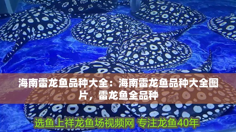 海南雷龍魚品種大全：海南雷龍魚品種大全圖片，雷龍魚全品種