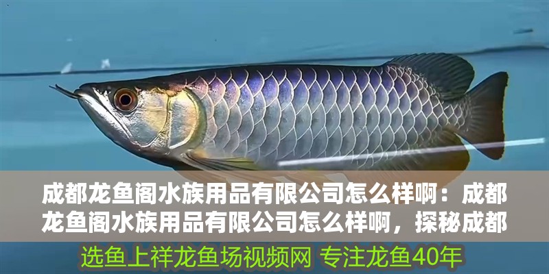 成都龍魚(yú)閣水族用品有限公司怎么樣啊：成都龍魚(yú)閣水族用品有限公司怎么樣啊，探秘成都龍魚(yú)閣水族用品有限公司，實(shí)力究竟如何