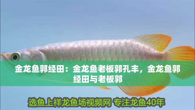 金龍魚郭經(jīng)田：金龍魚老板郭孔豐，金龍魚郭經(jīng)田與老板郭 金龍魚郭經(jīng)田：金龍魚老板郭孔豐，金龍魚郭經(jīng)田與老板郭 水族問答