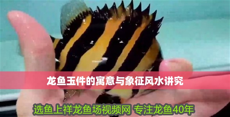 龍魚玉件的寓意與象征風水講究