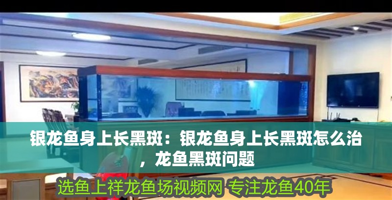 銀龍魚身上長黑斑：銀龍魚身上長黑斑怎么治，龍魚黑斑問題