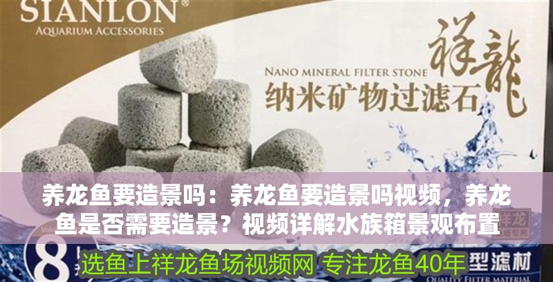 養(yǎng)龍魚要造景嗎：養(yǎng)龍魚要造景嗎視頻，養(yǎng)龍魚是否需要造景？視頻詳解水族箱景觀布置