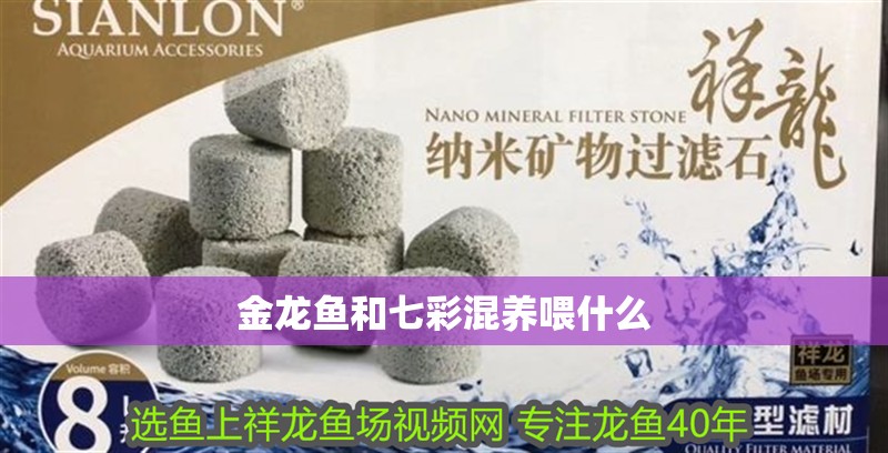 金龍魚和七彩混養喂什么