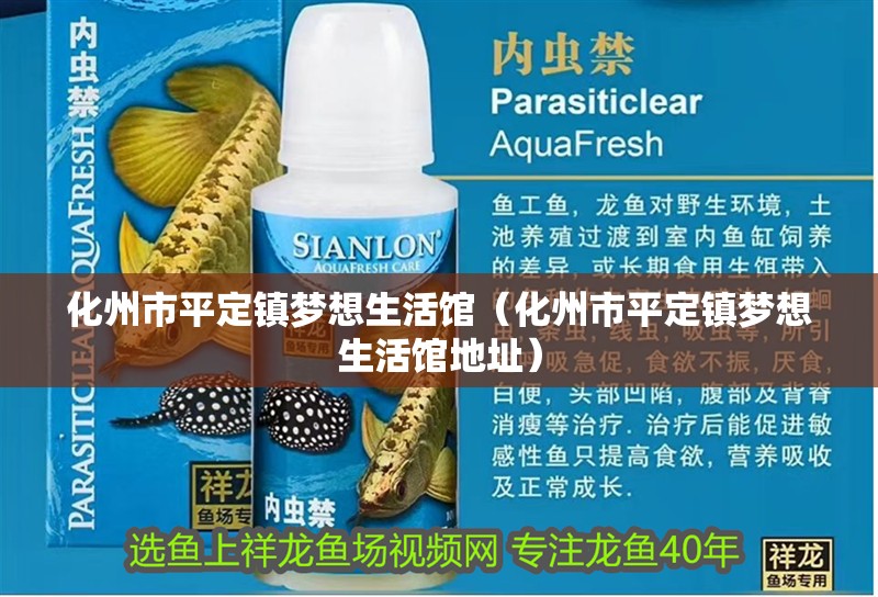 化州市平定鎮夢想生活館（化州市平定鎮夢想生活館地址）