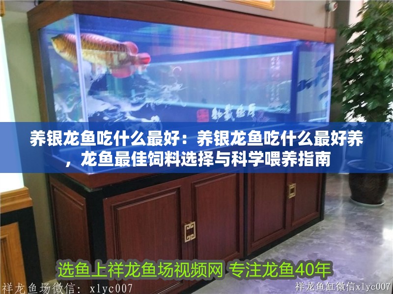養銀龍魚吃什么最好：養銀龍魚吃什么最好養，龍魚最佳飼料選擇與科學喂養指南