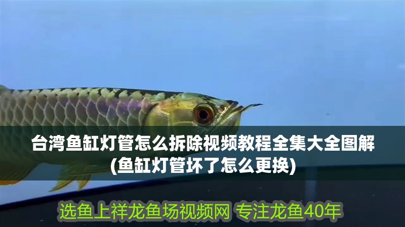 臺(tái)灣魚缸燈管怎么拆除視頻教程全集大全圖解(魚缸燈管壞了怎么更換)