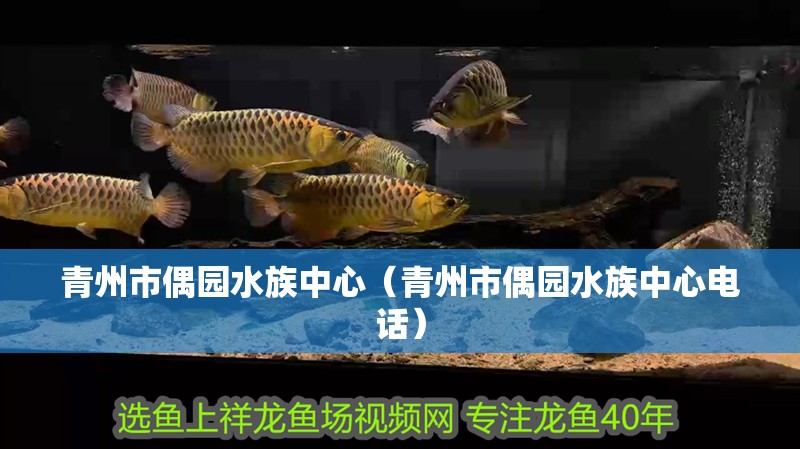 青州市偶園水族中心（青州市偶園水族中心電話）