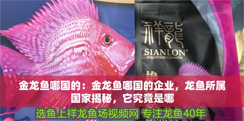 金龍魚哪國的：金龍魚哪國的企業，龍魚所屬國家揭秘，它究竟是哪