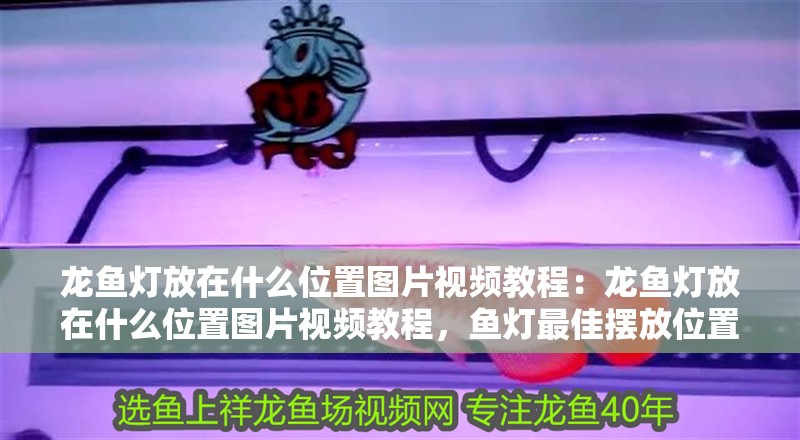 龍魚燈放在什么位置圖片視頻教程：龍魚燈放在什么位置圖片視頻教程，魚燈最佳擺放位置